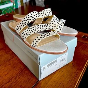 Sole society Simonaa